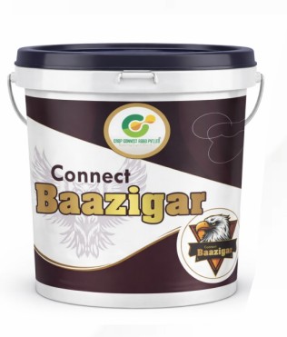 Connect Baazigar